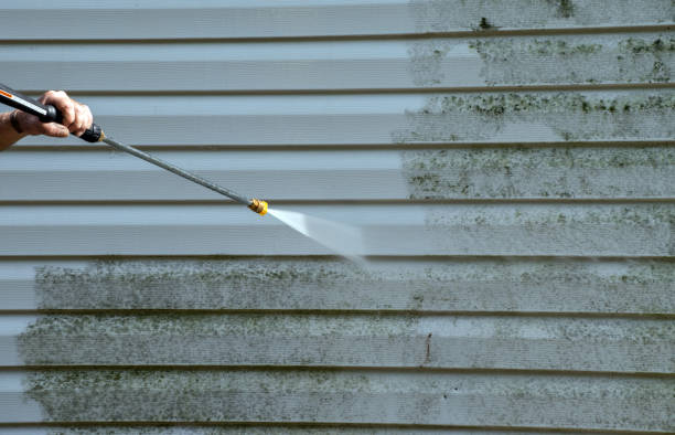 Best Commercial Pressure Washing  in Steelevle, IL