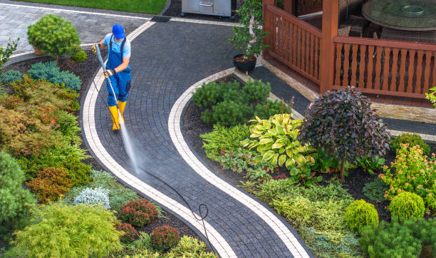 Best Affordable Pressure Washing  in Steelevle, IL