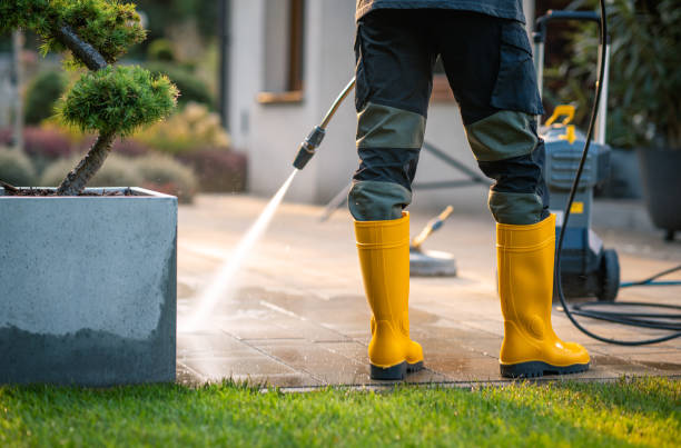 Best Power Washing Near Me  in Steelevle, IL